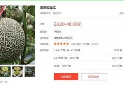 娱乐性质的瓜怎么吃,如何轻松享用娱乐八卦大餐