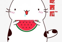 坐等吃瓜表情包图片大全,坐等吃瓜表情包大盘点